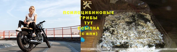 гидропоника Белоозёрский