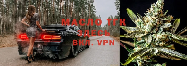 гашик Семилуки
